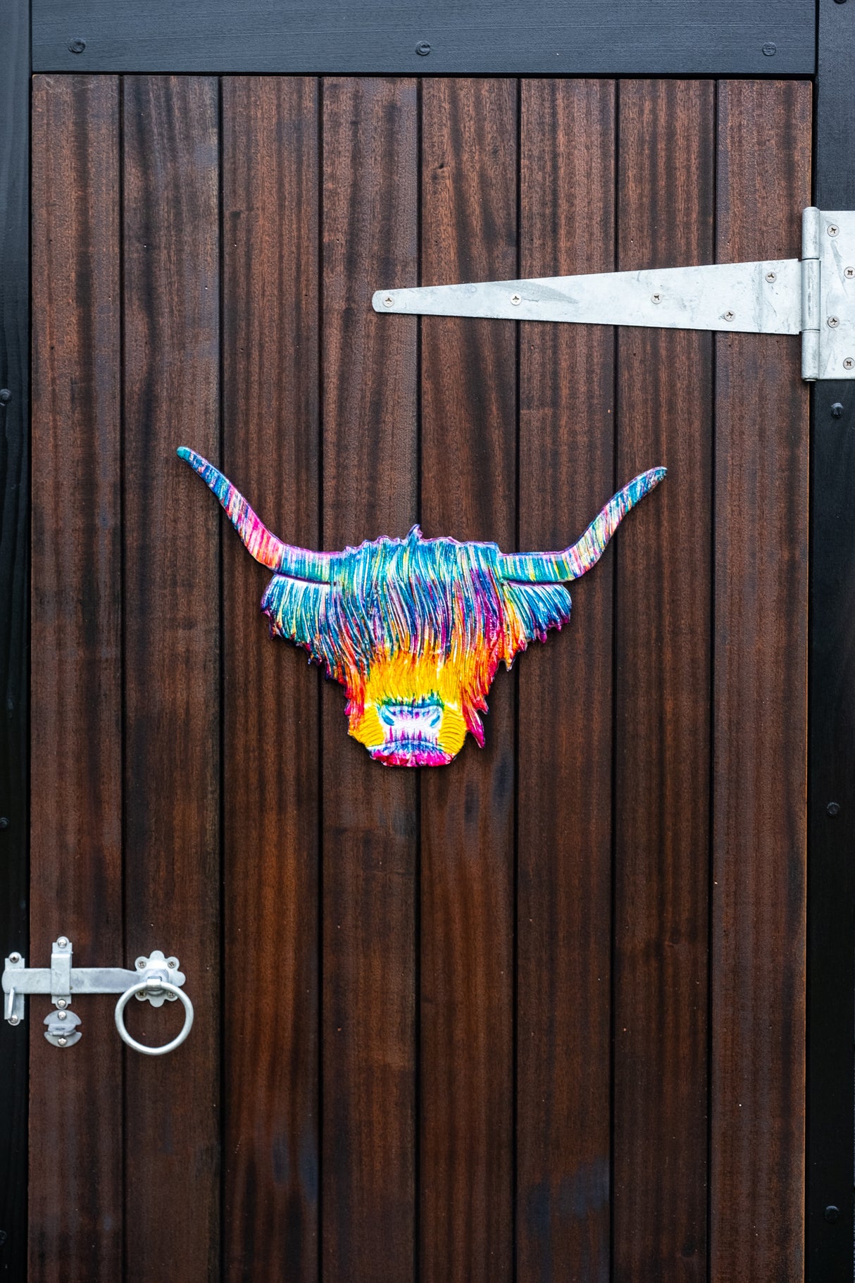 Large Rainbow Highland Cow Head Aluminium Decoration (50cm)