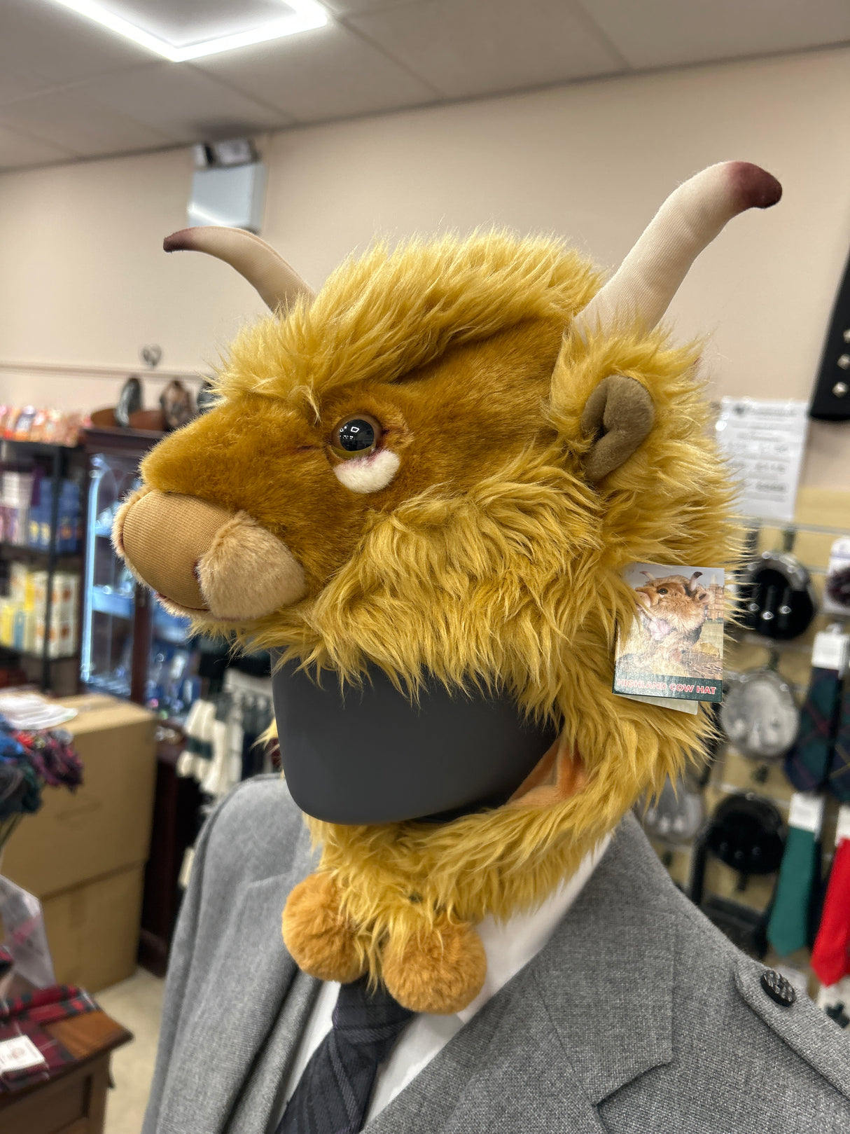 Highland Cow Head Dress (12”)