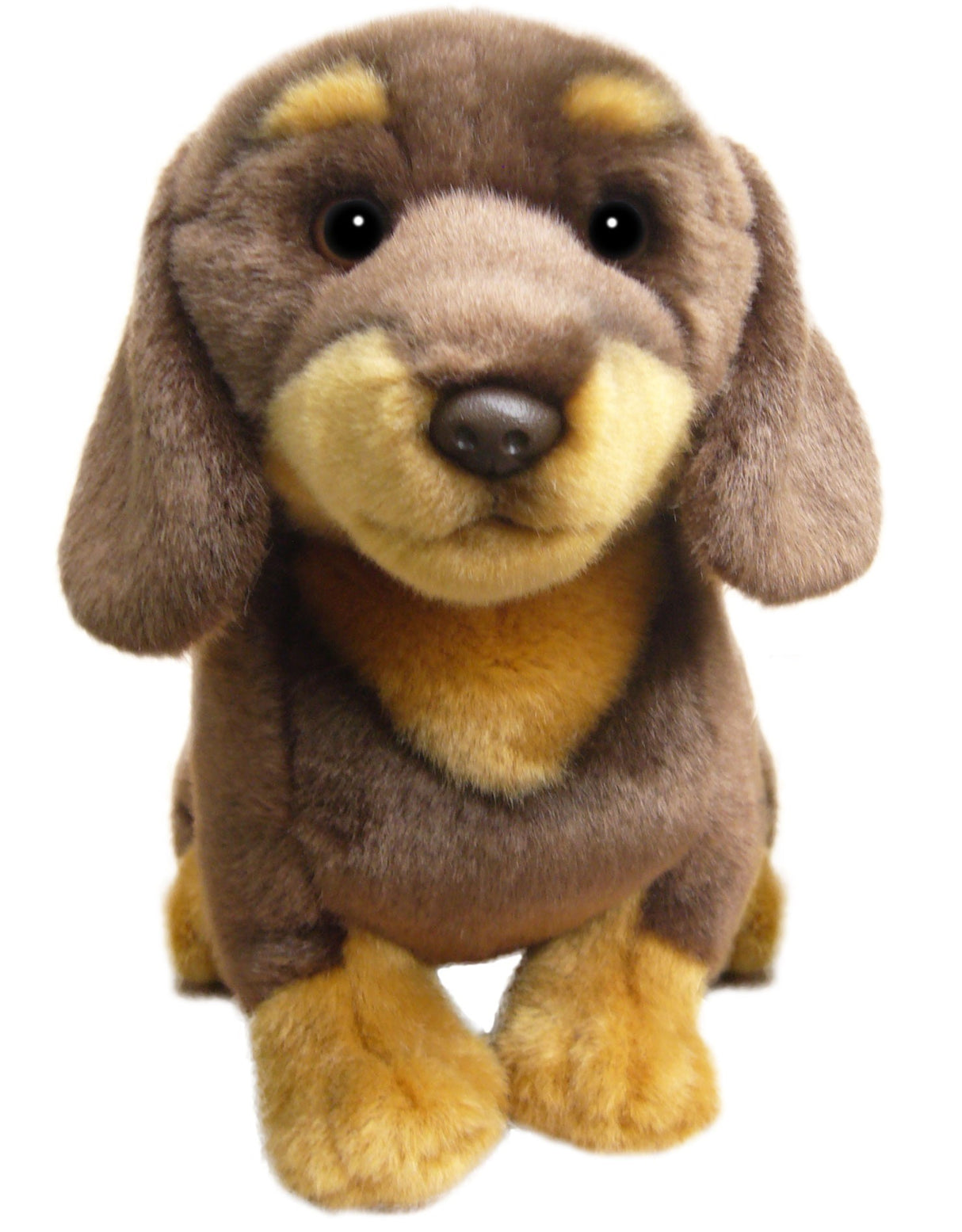 12 inch Chocolate and Red Dachshund Soft Toy