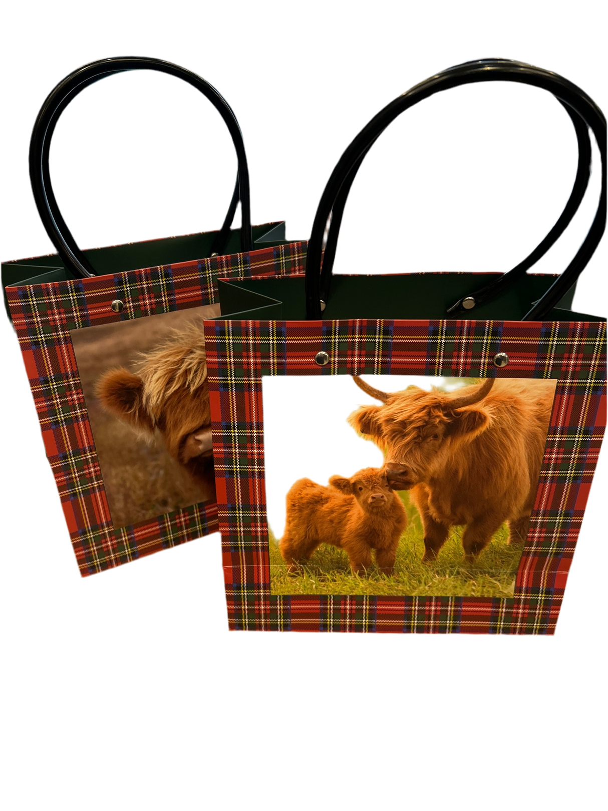 Highland Calf Gift Bag