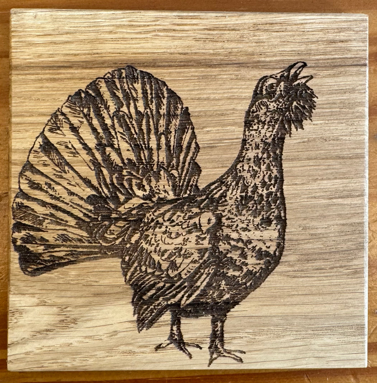 Capercaillie Oak Coaster