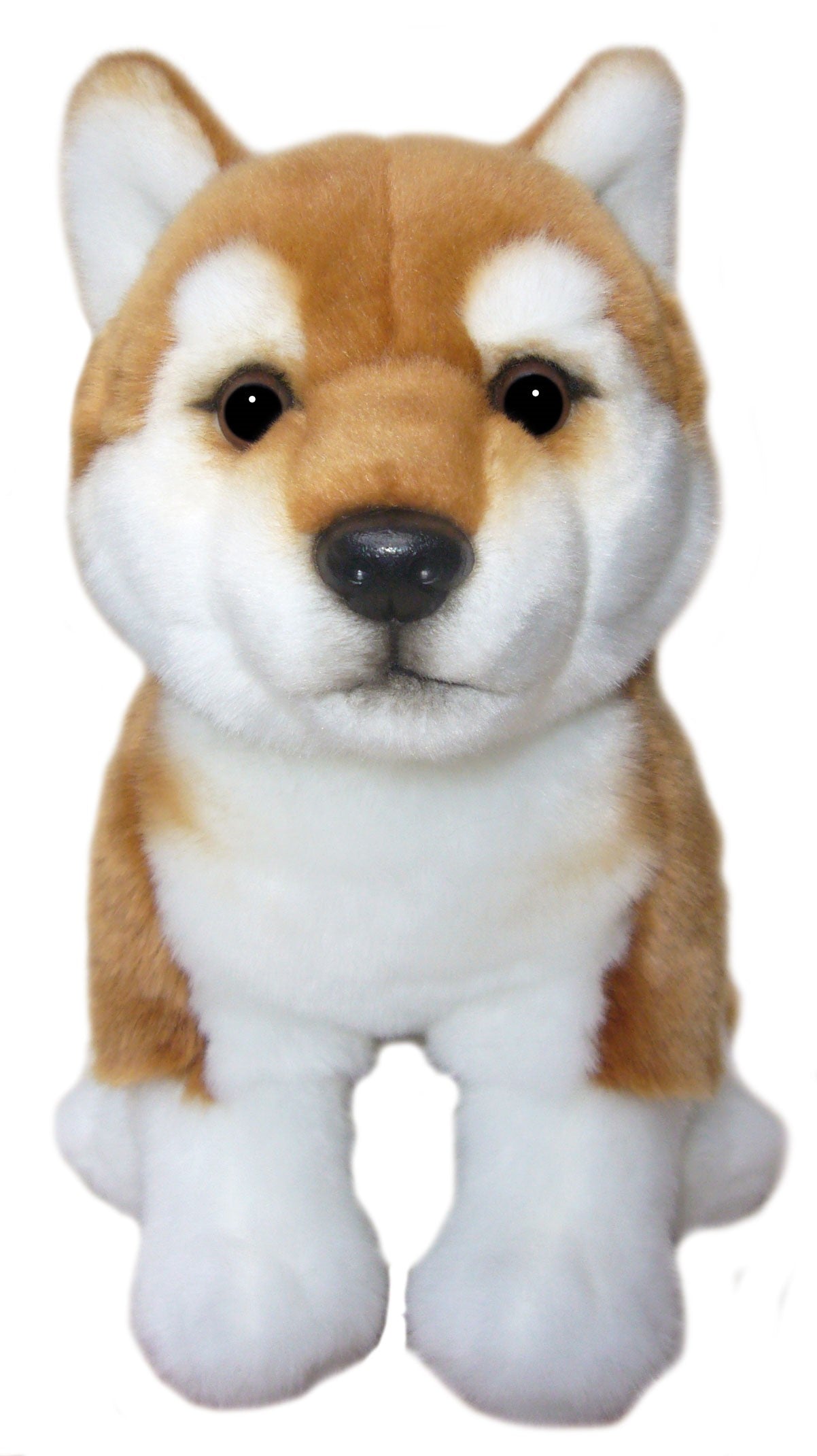 12 inch Shiba Inu Soft Toy