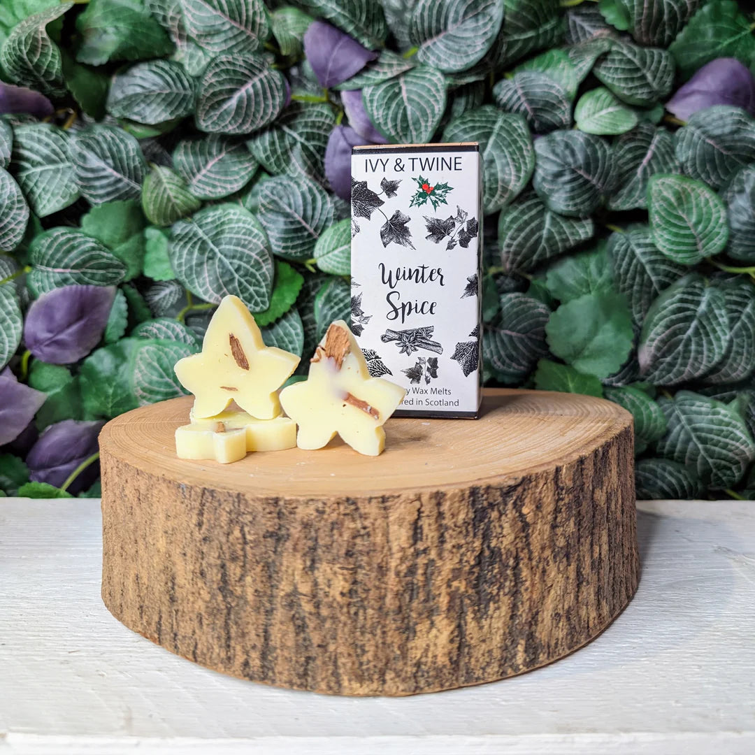 Winter Spice Wax Melts (10 pack)