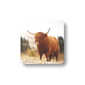 Highland Cow Coaster