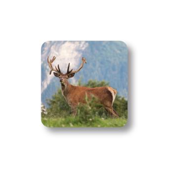Stag Full Body Coaster