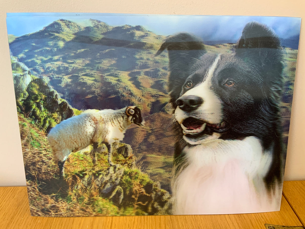 Collie & Black Faced Sheep 3D Wall Art (Copy)