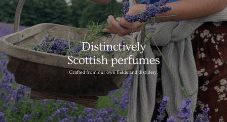 Middleshade Perfumes
