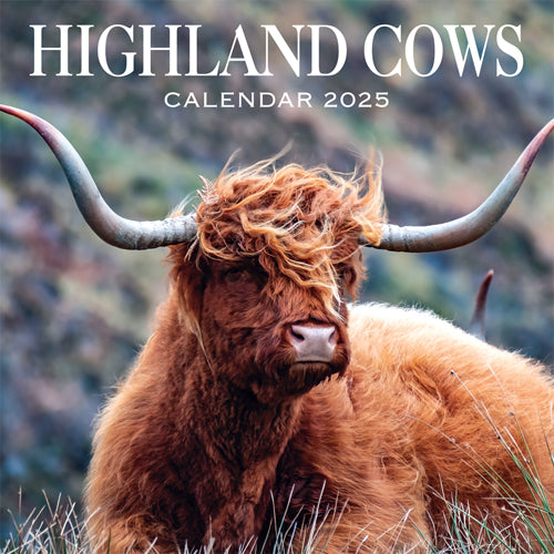 2025 Calendar Highland Cows