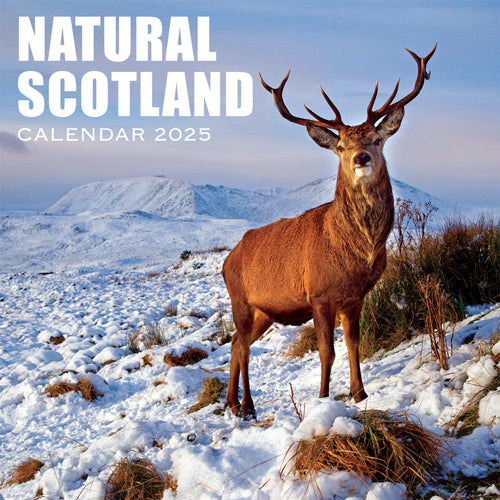 2025 Calendar Natural Scotland