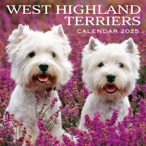 2025 Calendar West Highland Terriers