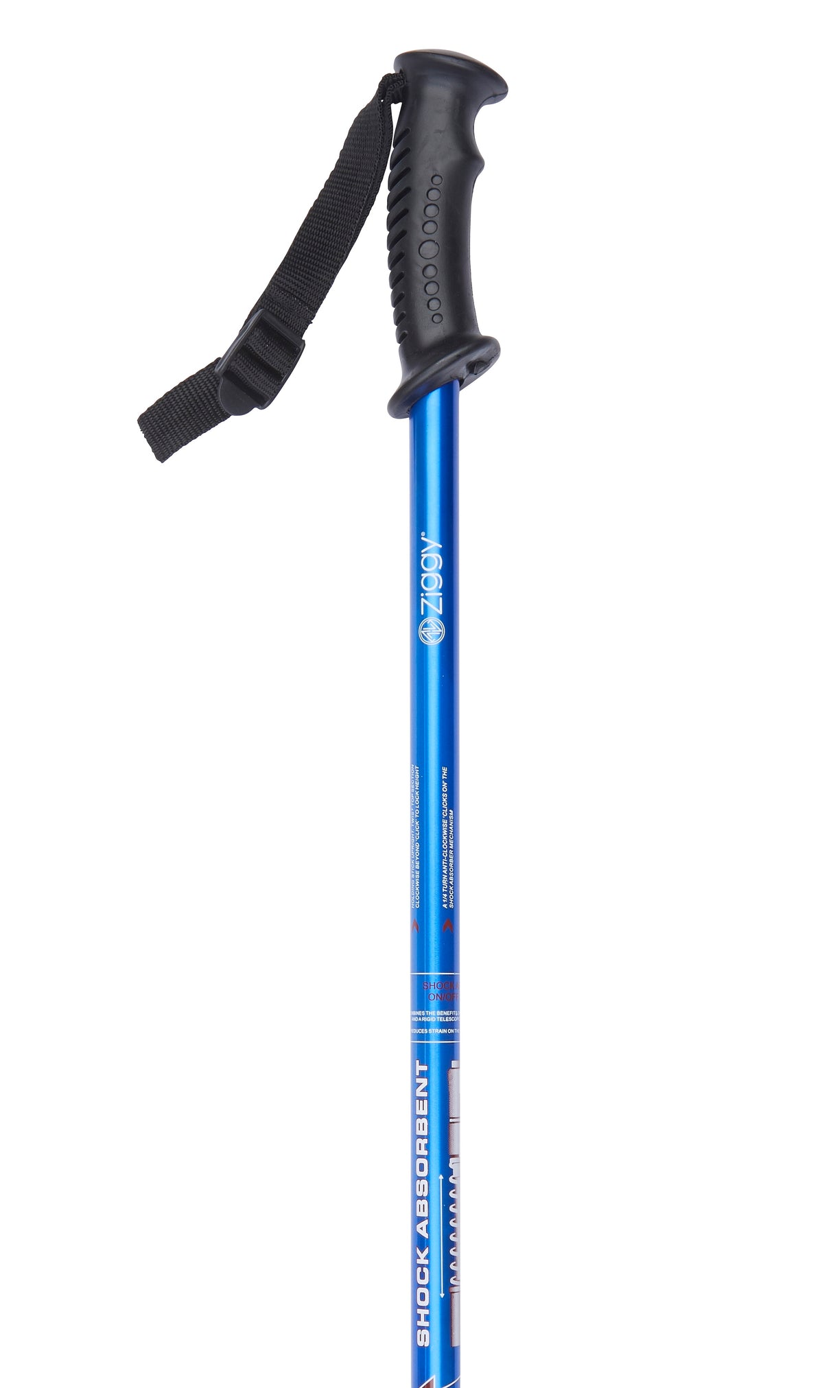 Blue Hiking Pole