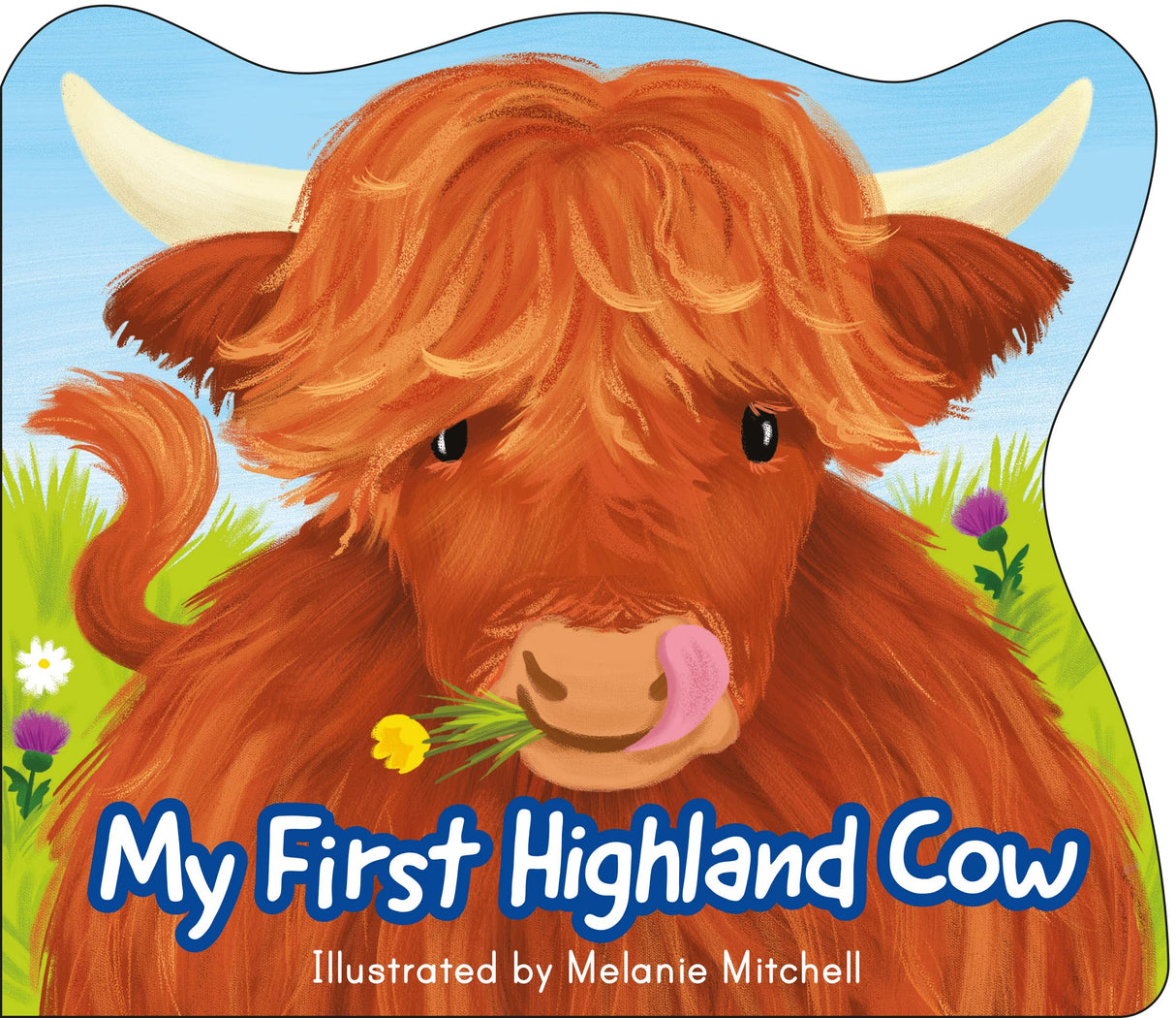 My First Highland Cow