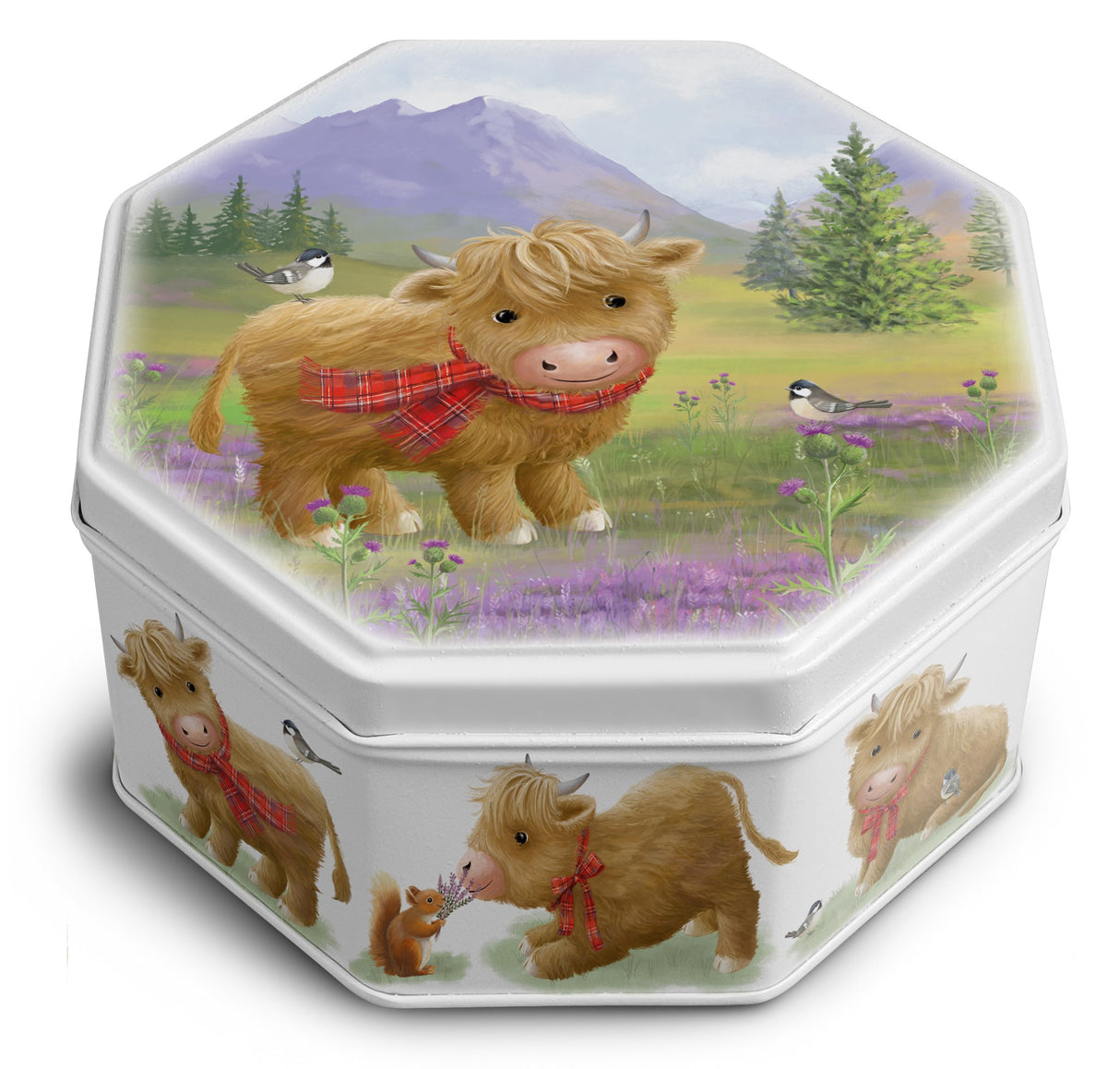 115g Cute Highland Cow Petticoat Tails Tin