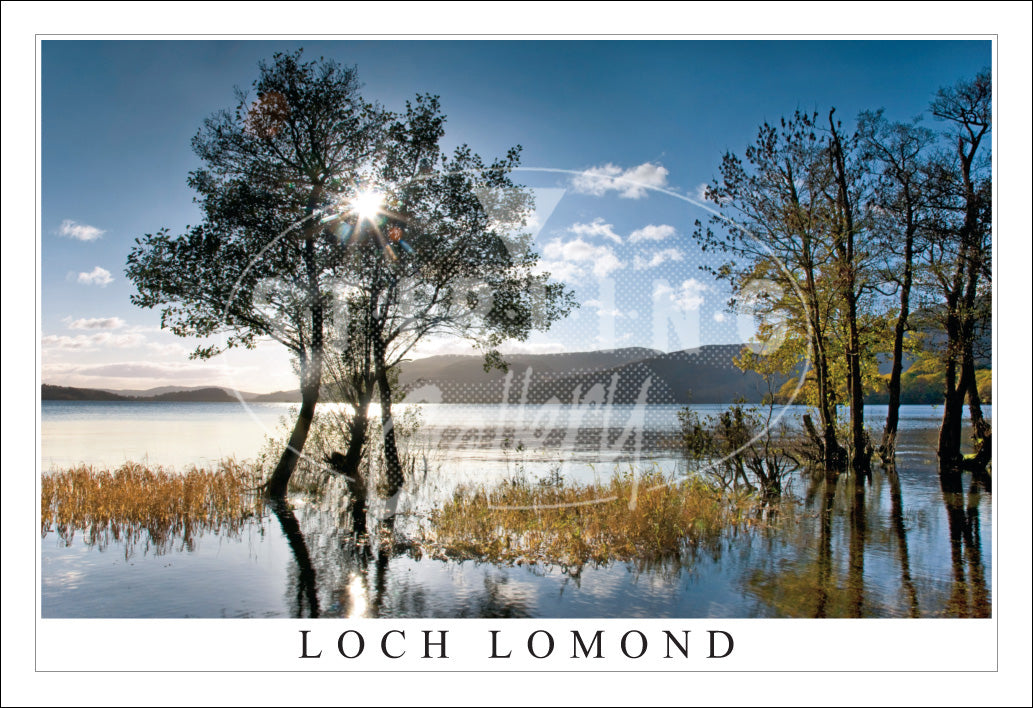 PC SG Loch Lomond, Sun Burst, Autumn (H)(Net)