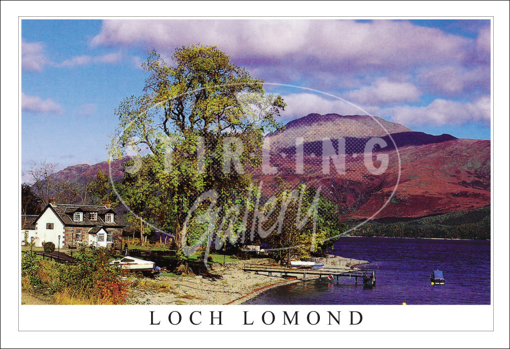 PC SG Ben Lomond from the Shore - Loch Lomond (H)(Net)