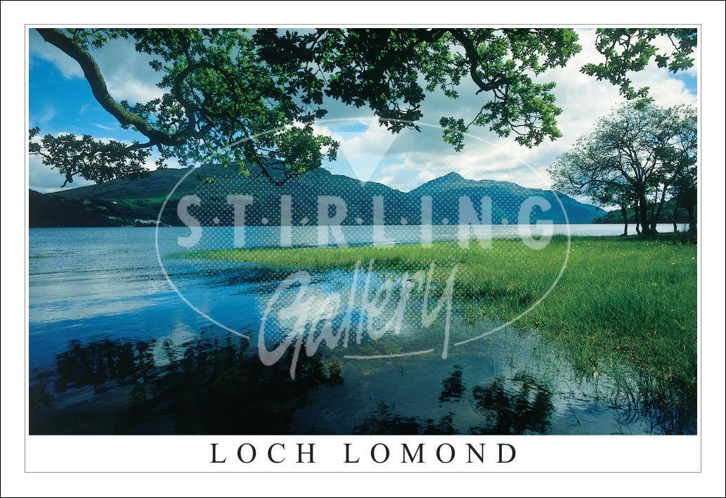 PC SG Loch Lomond, Ben Lomond & Inversnaid Hotel (H)(Net)