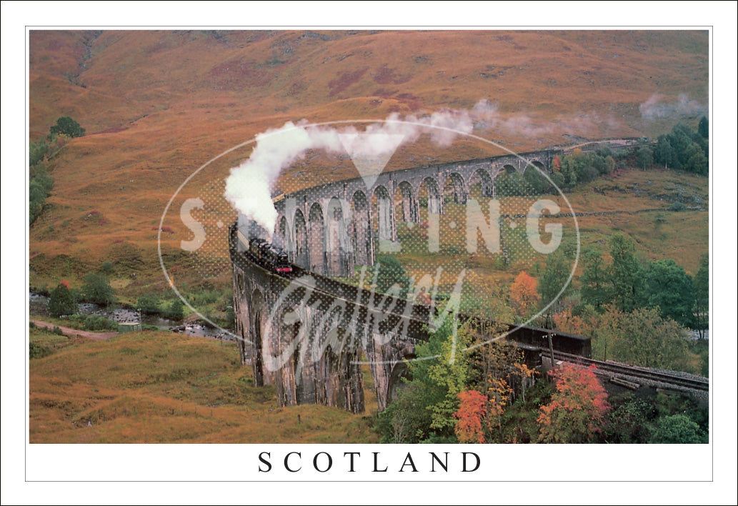 PC SG Train on Glenfinnan Viaduct, Autumn - Scotland(H)(Net)