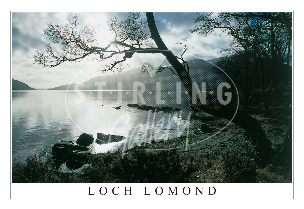 PC SG Evening Light, Loch Lomond (H)(Net)