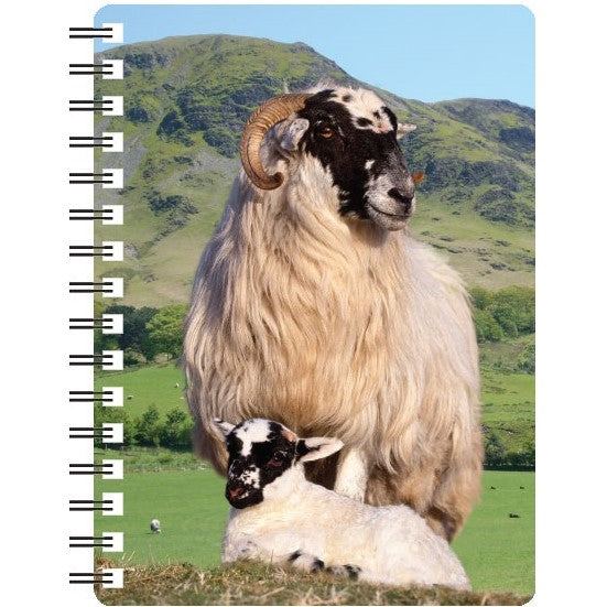 Black Faced Sheep 3D Notebook