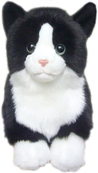 12 inch Black & White Cat