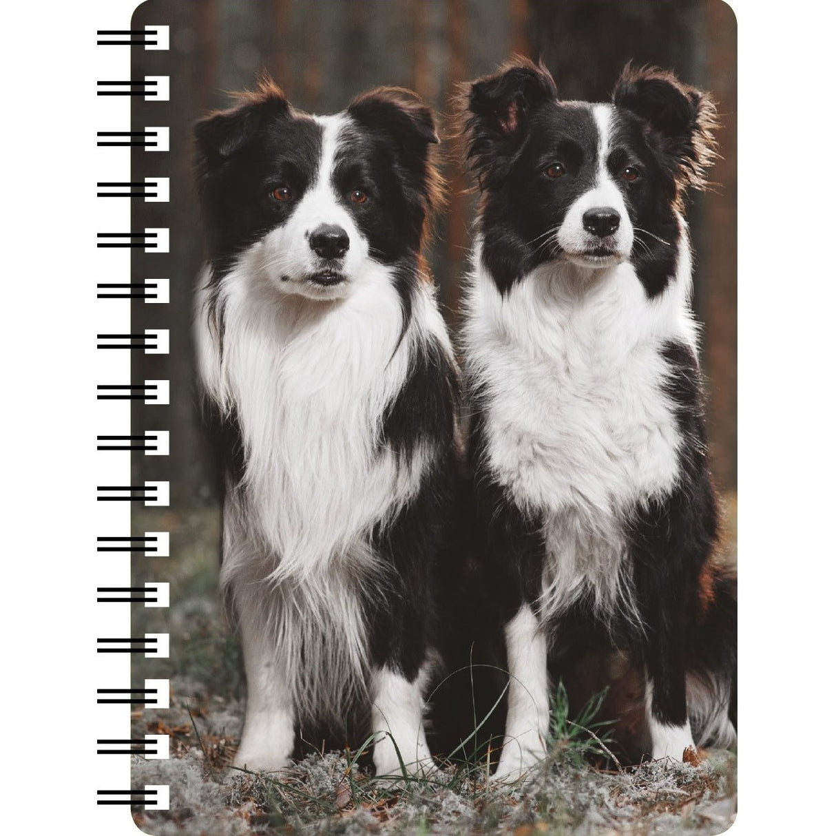 Pair of Border Collies 3D Notebook