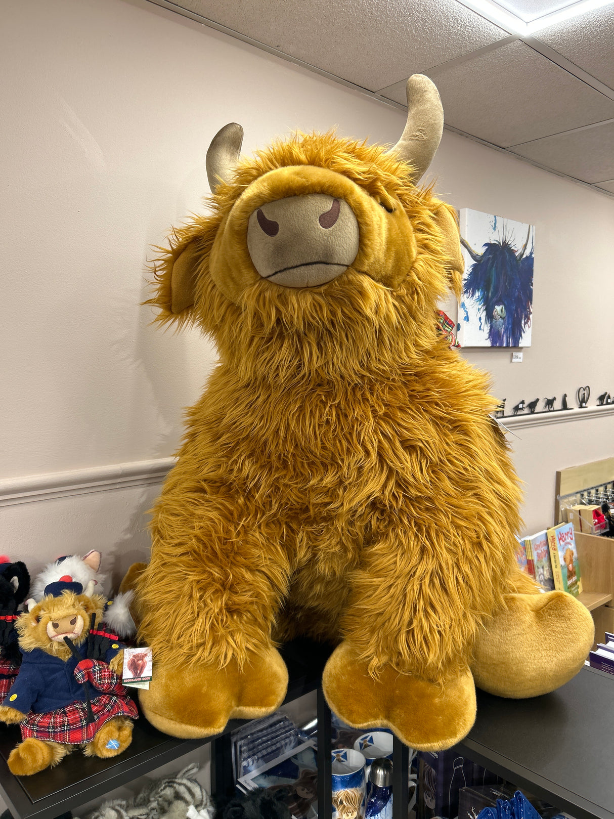 George 54 inch Highland Cow