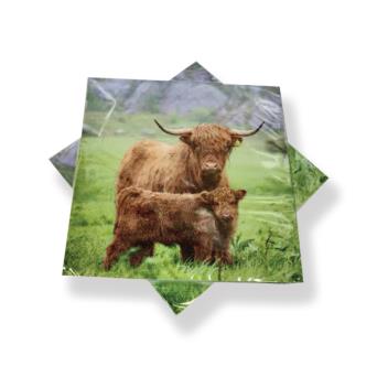 Highland Cow Family Paper Napkins (20pc)