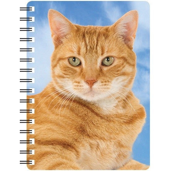 Ginger Cat 3D Notebook