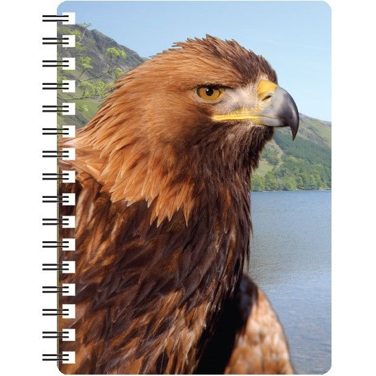 Golden Eagle 3D Notebook