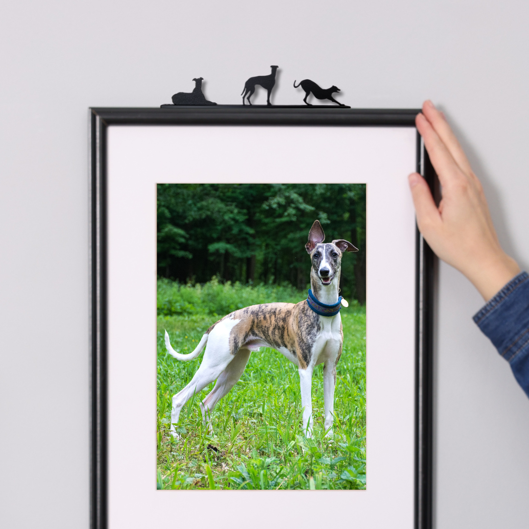 3 piece Greyhound Decoration