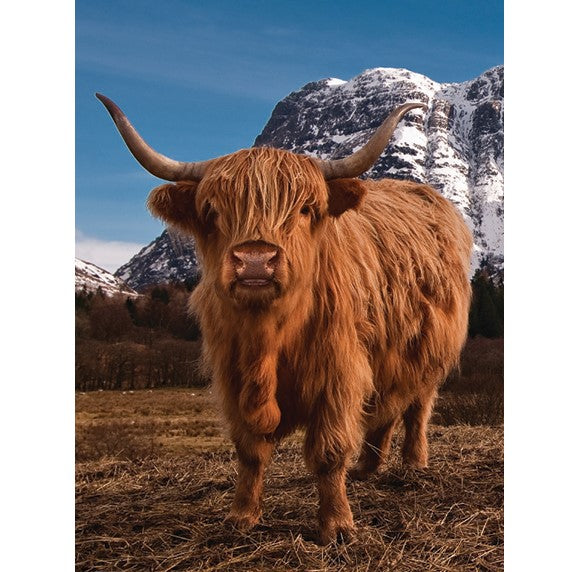 Highland Cow with Mountain 3D Wall Art