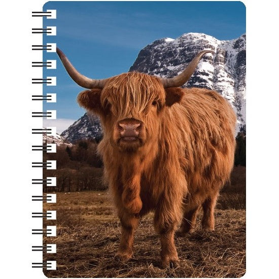 Highland Cow with Mountain 3D Notebook