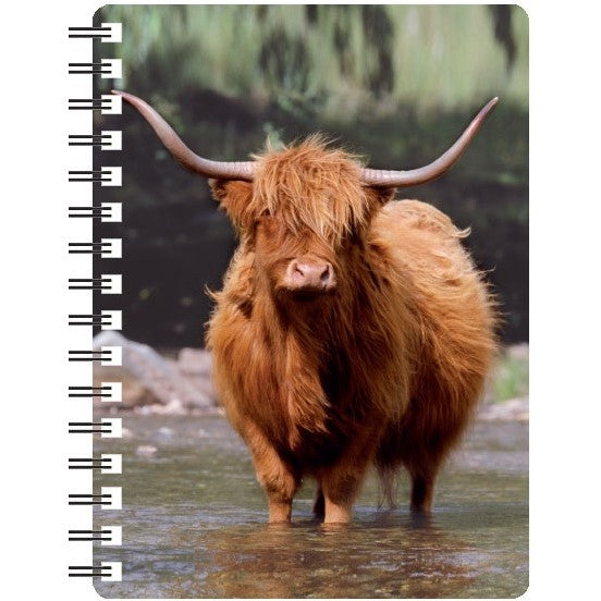 Highland Cow in Water 3D Notebook