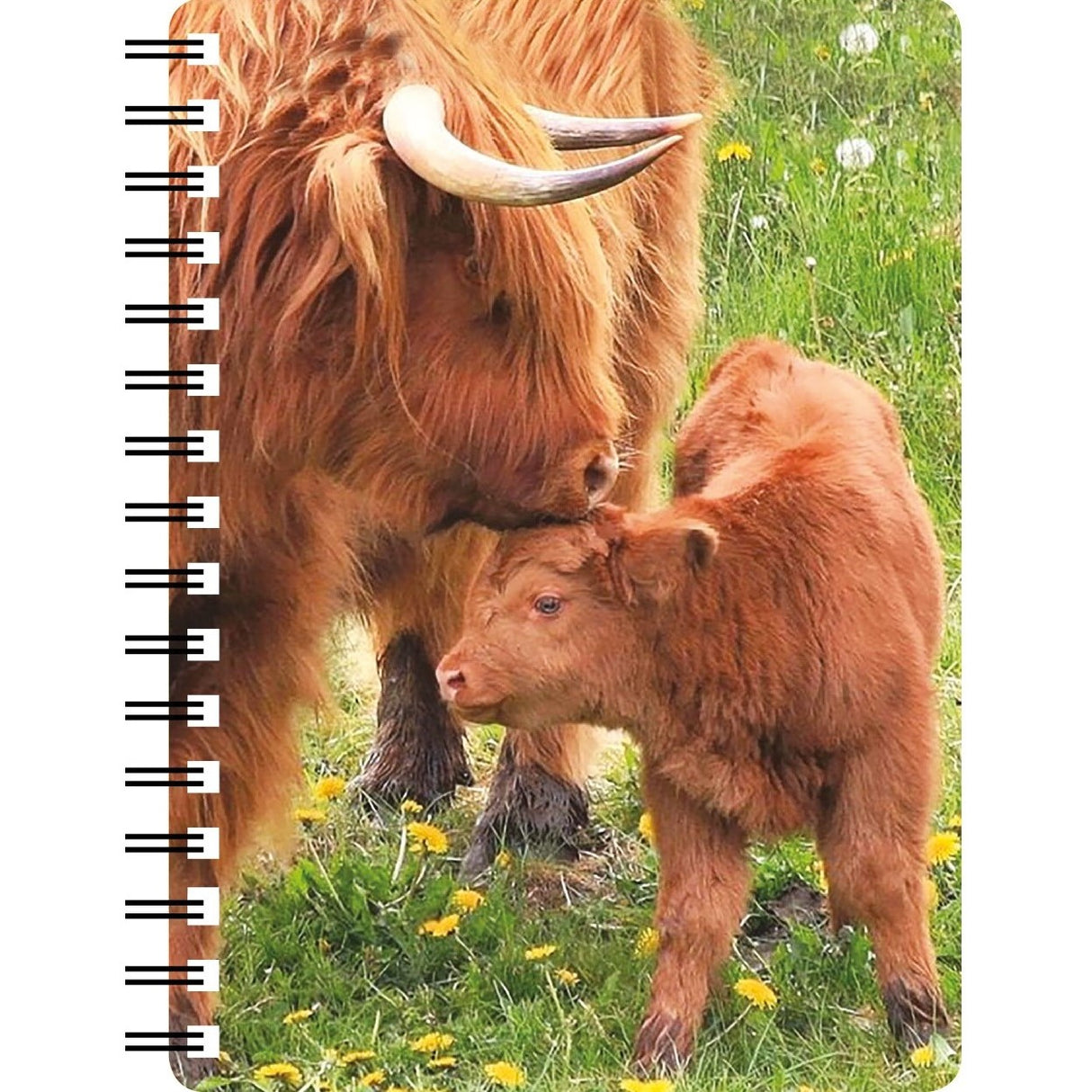 Highland Cow & Calf 3D Notebook