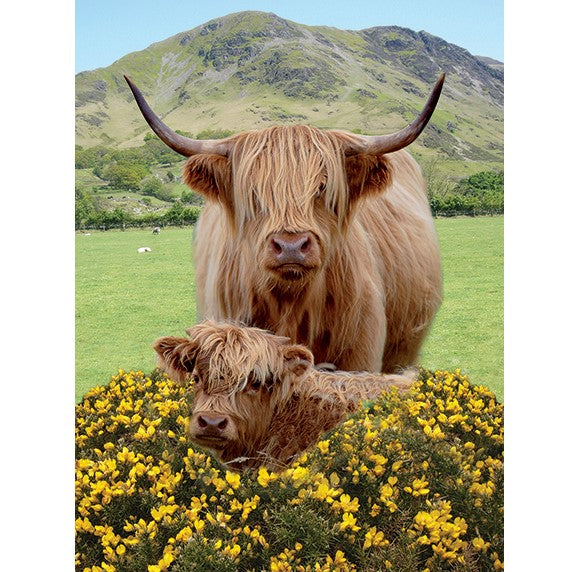 Highland Cow & Calf 3D Wall Art