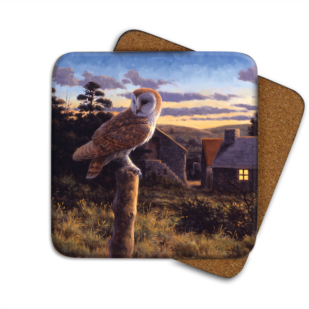 Barn Owl At Dusk Julian Friers Coaster