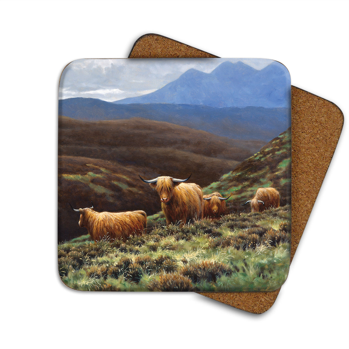 Highland Cattle Julian Friers Coaster