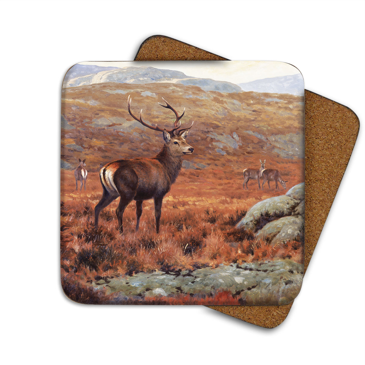 Stag In The Highlands Julian Friers Coaster