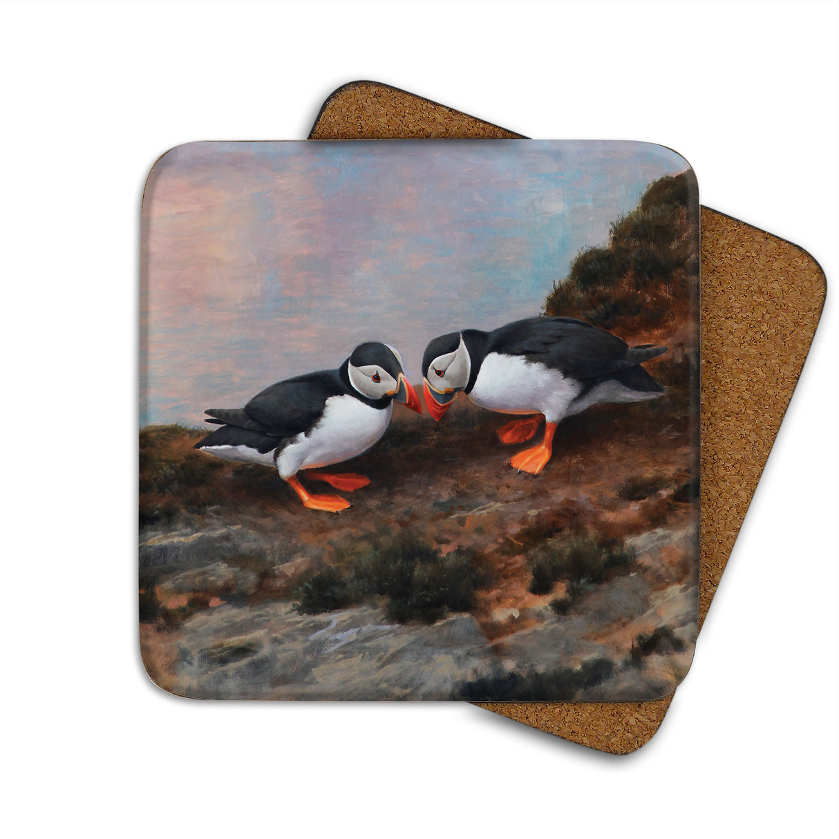 Puffins Beak Bashing Julian Friers Coaster