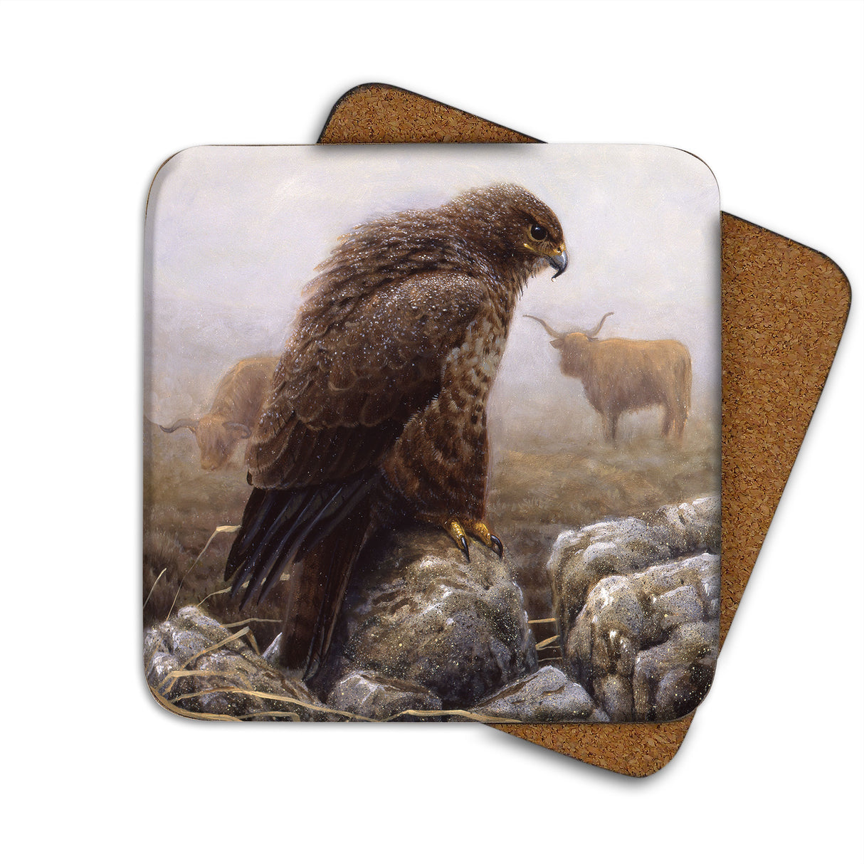 Buzzard & Highland Cattle Julian Friers Coaster