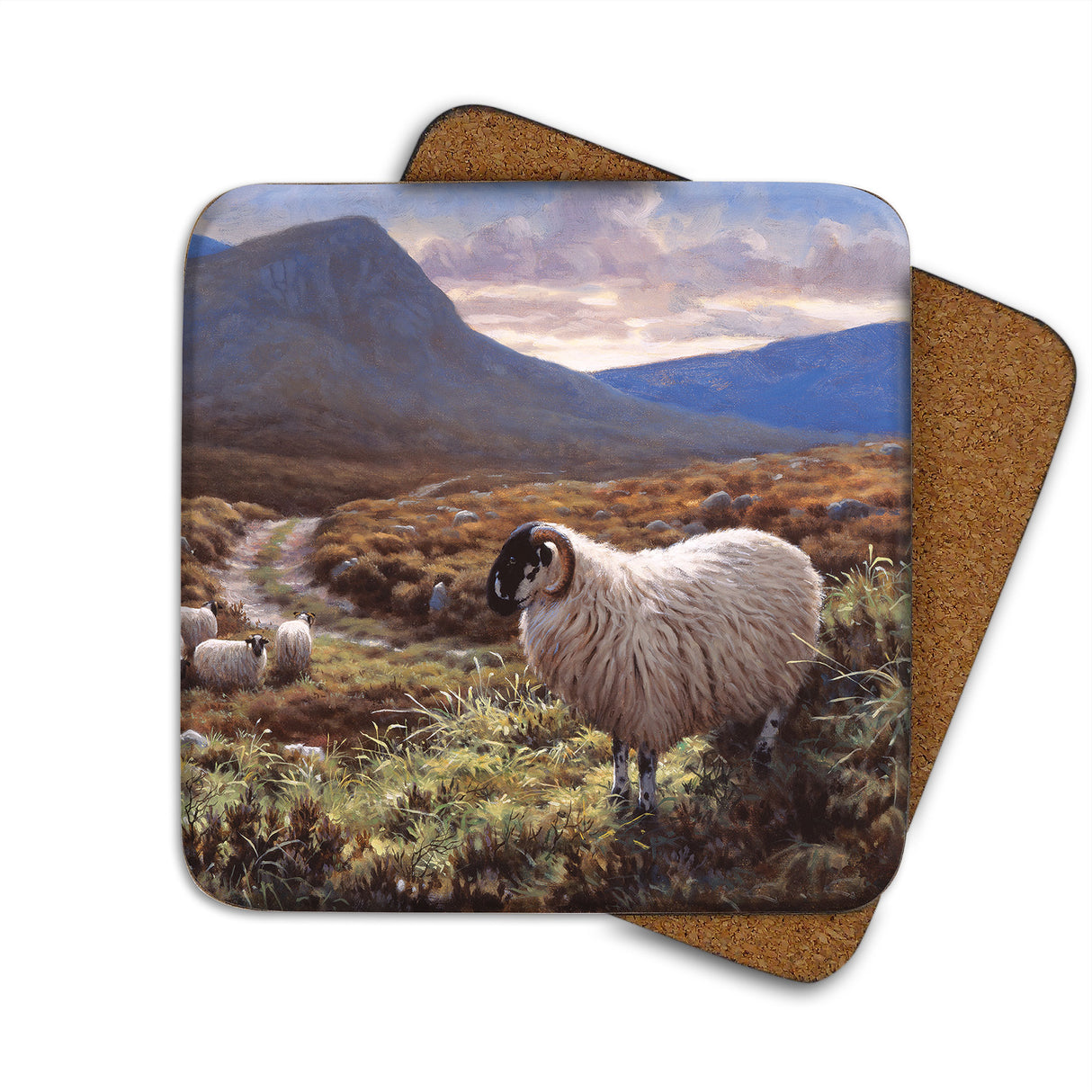 Sheep & Track Julian Friers Coaster