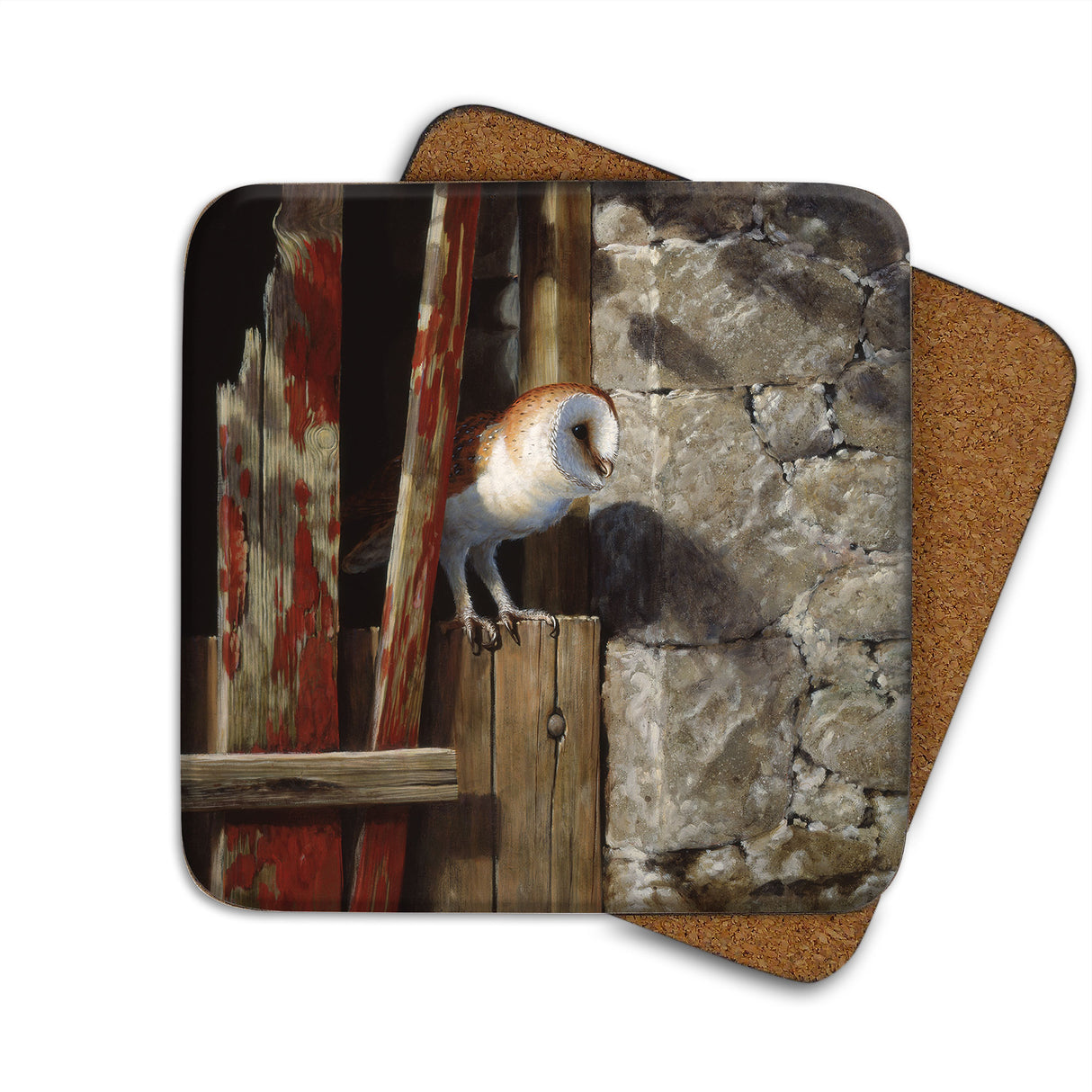 Barn Owl Julian Friers Coaster