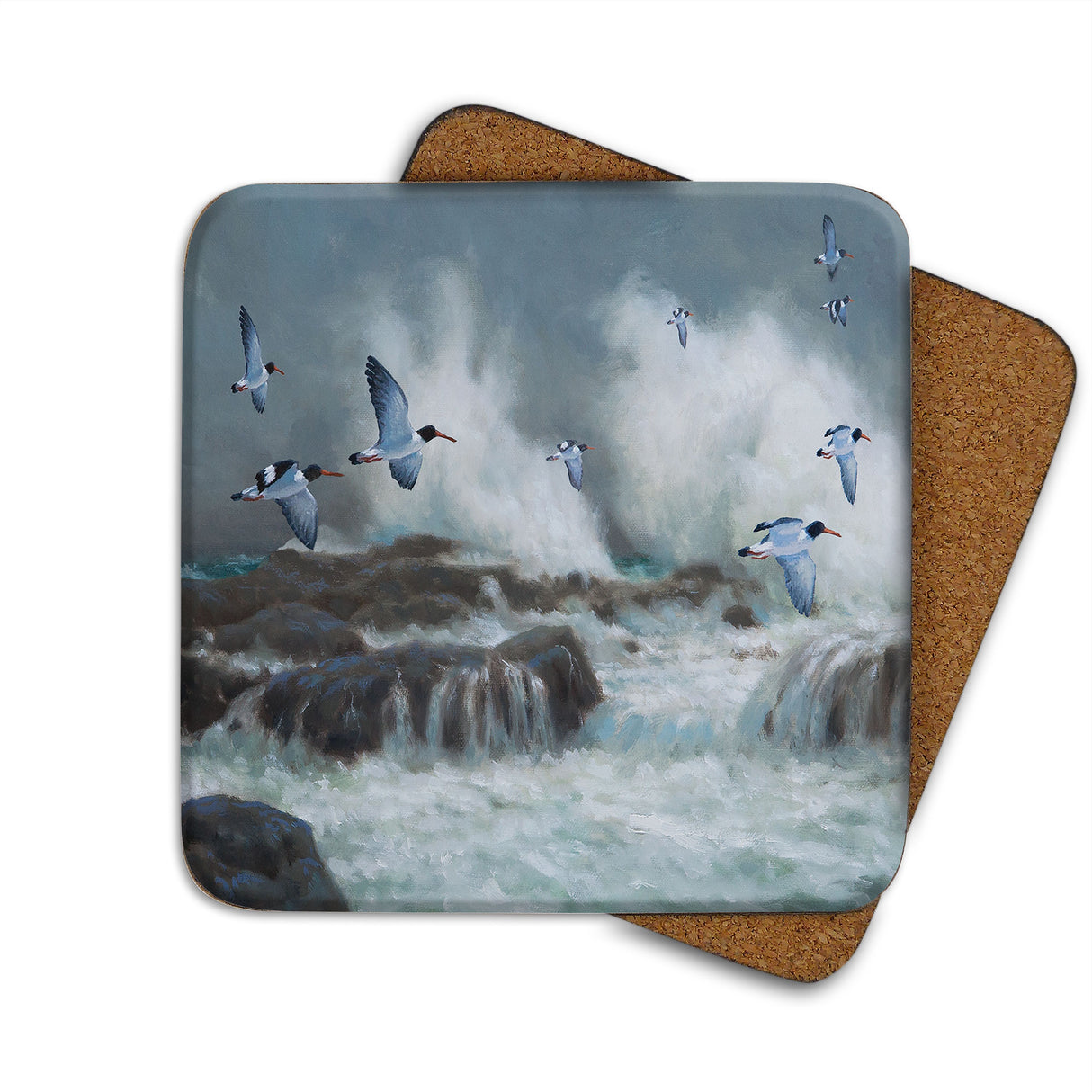 Oyster Catchers Julian Friers Coaster