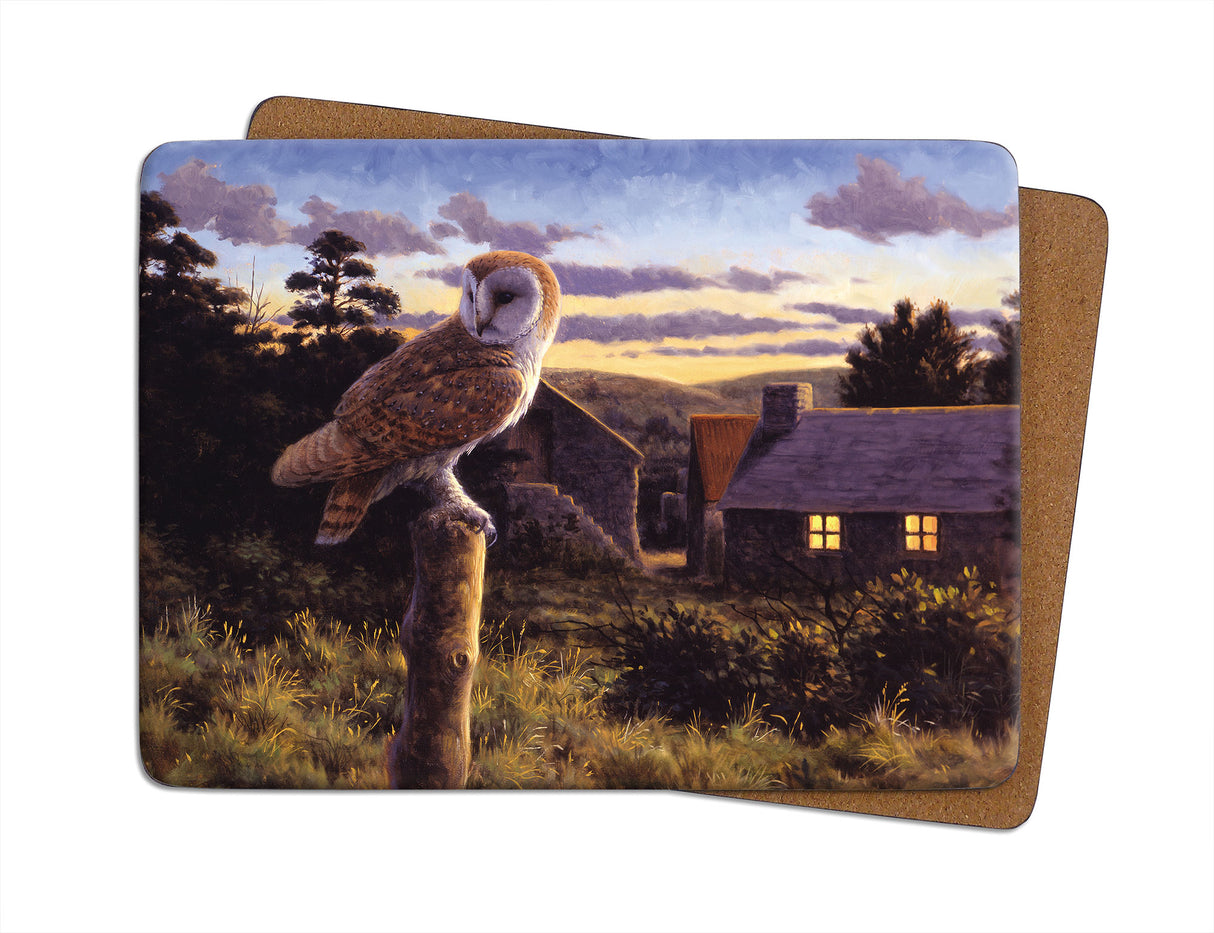 Barn Owl At Dusk Julian Friers Placemat