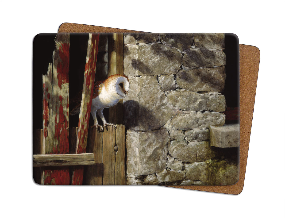 Barn Owl Julian Friers Placemat