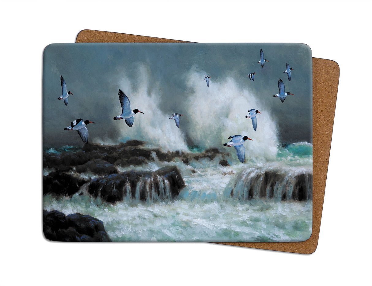 Oyster Catchers Julian Friers Placemat