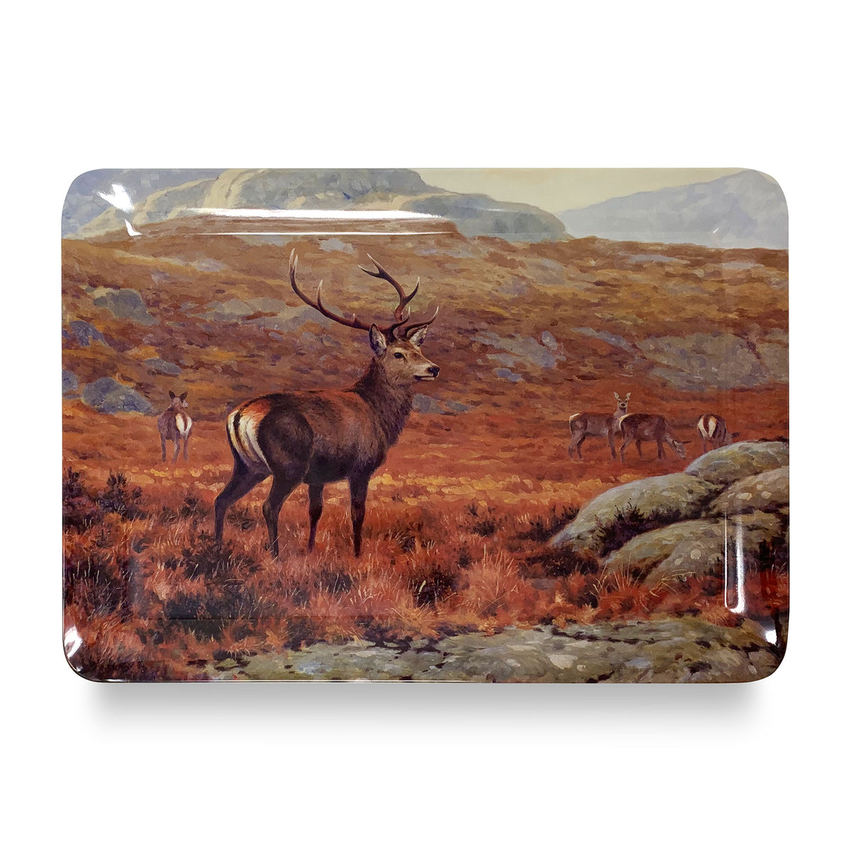 Stag In The Highlands Julian Friers Tray