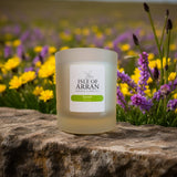 Earrach (Spring) Candle Jar (Boxed) approx 40 hour burn time