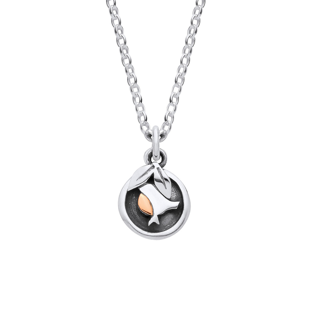Enchanted Tales Robin in Round Frame Necklace - Silver & 9ct Gold
