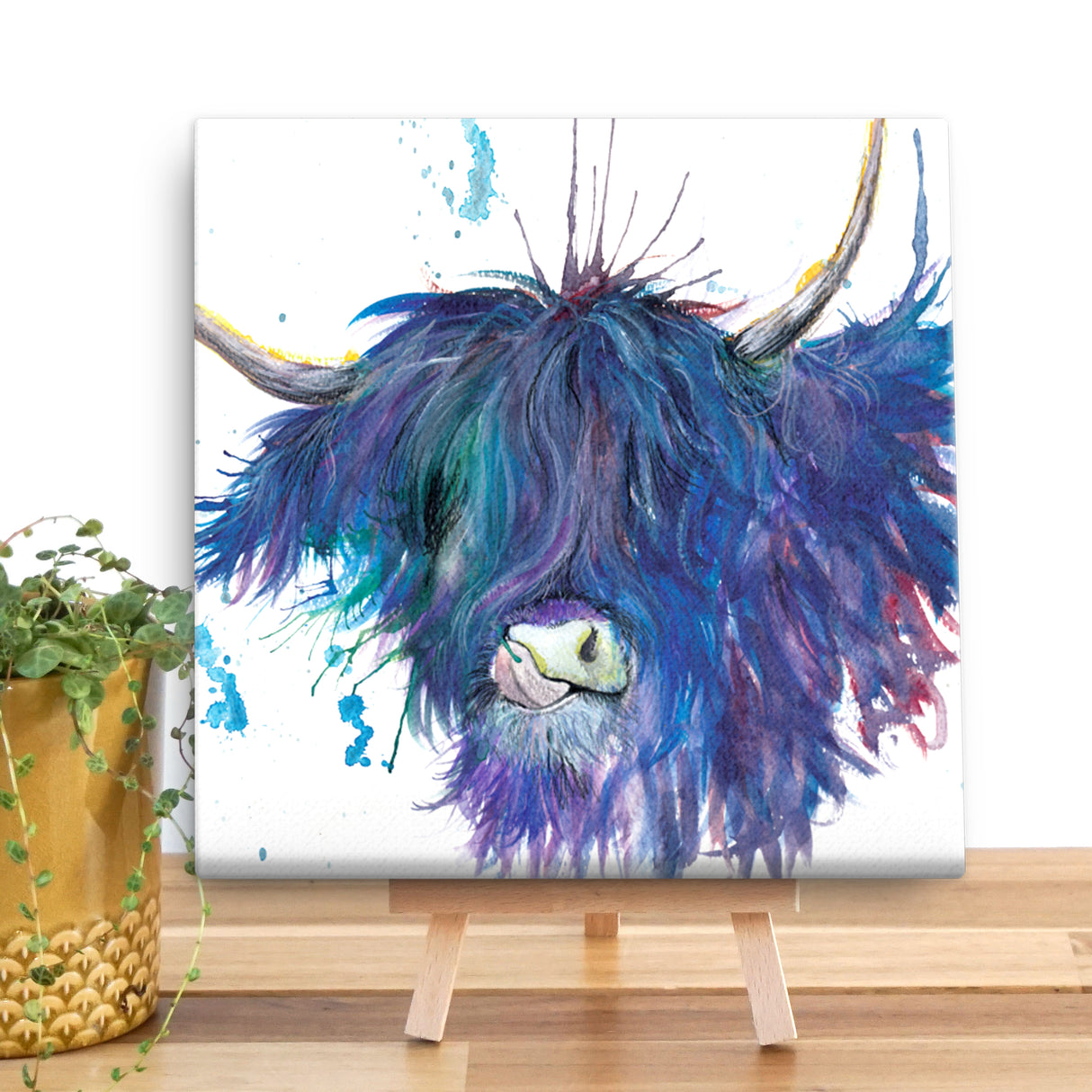 Splatter Highland Cow Large Canvas (40cmx40cm)